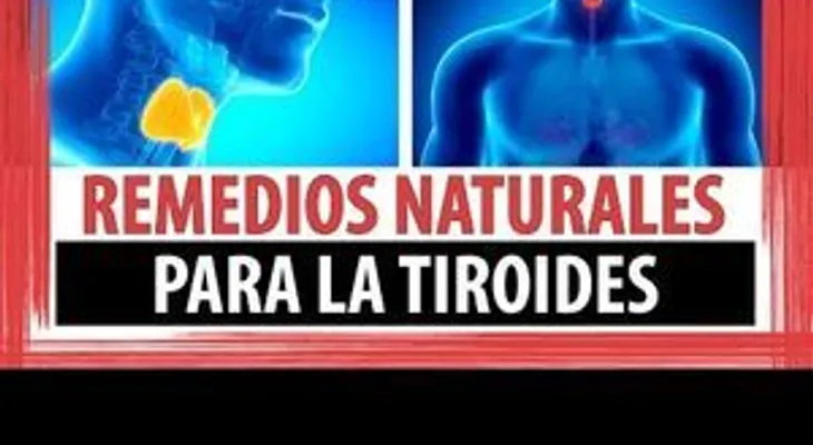 Presta atención a estos 4 remedios naturales para las tiroides