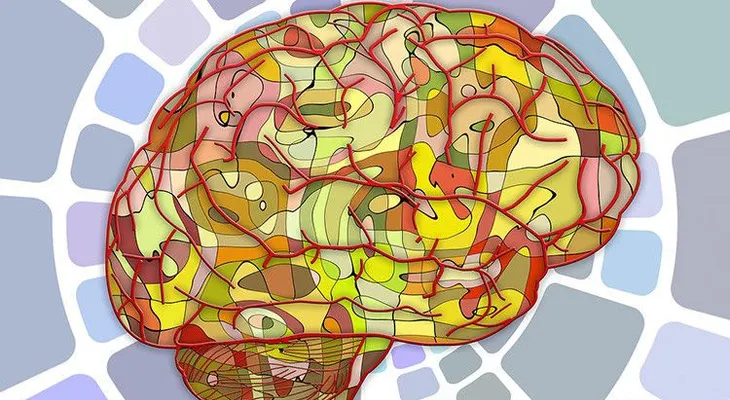 Descubren que las células limpiadoras del cerebro pueden volverse caníbales