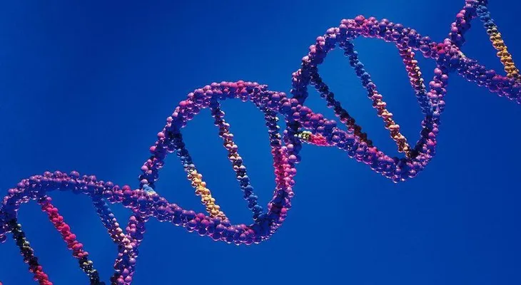 El ADN, clave para resolver mentiras o verdades sobre la paternidad 