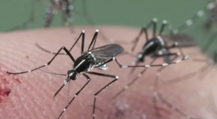 Puerto Rico registra primer caso del virus zika