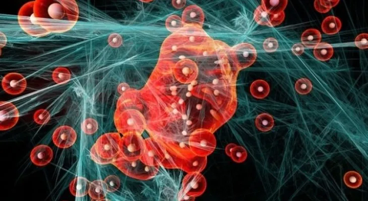 Descubren anticuerpo lograrí­a que el sistema inmune mate al cáncer; es un gran logro cientí­fico 
