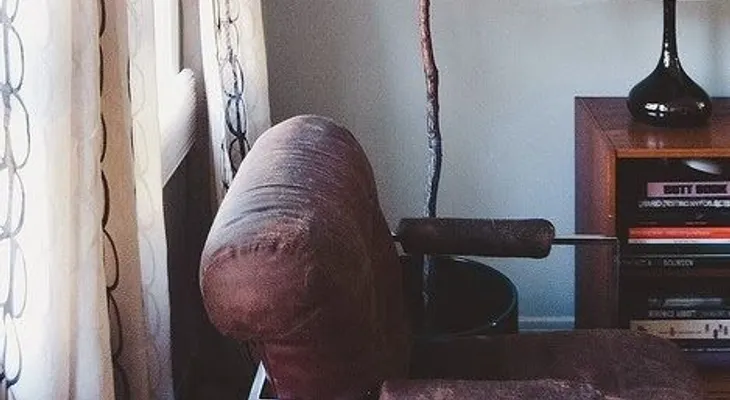 7 árboles frutales que puedes crecer en tu sala de estar