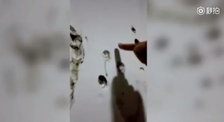 Un chino con habilidades sobrehumanas: deforma una pared con un dedo