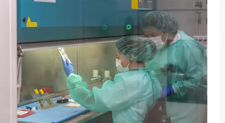Identifican la célula de origen del Sarcoma de Ewing