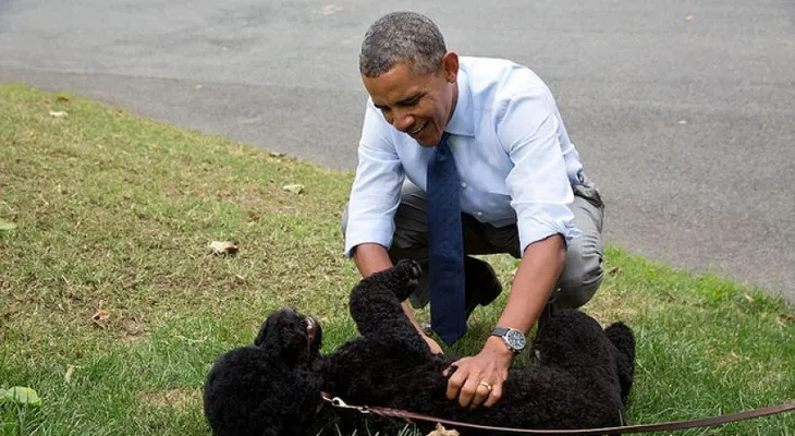 Hombre intentó secuestrar perro de Obama