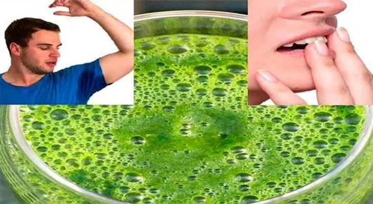 Tomar este jugo eliminará el mal olor bucal del sudor