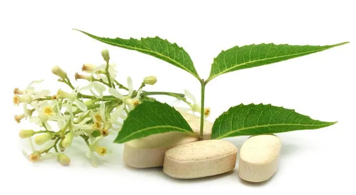 Sabes cuál es El Árbol Maravilloso y sus beneficios