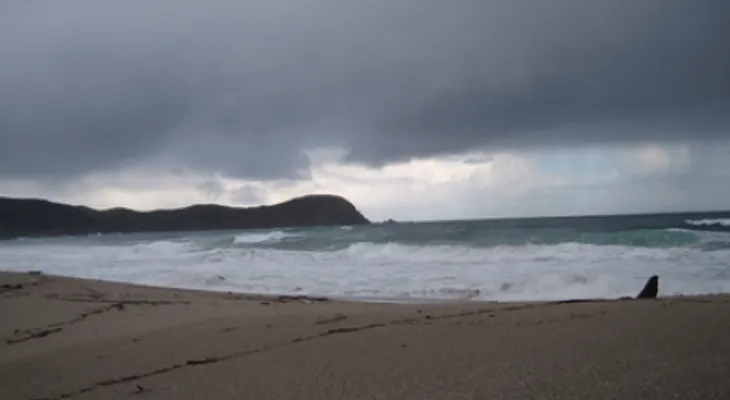 Se forma Dalila, la cuarta tormenta tropical de la temporada
