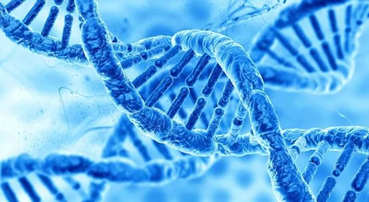  Científicos descubren por casualidad el gen de memoria que actúa como virus 