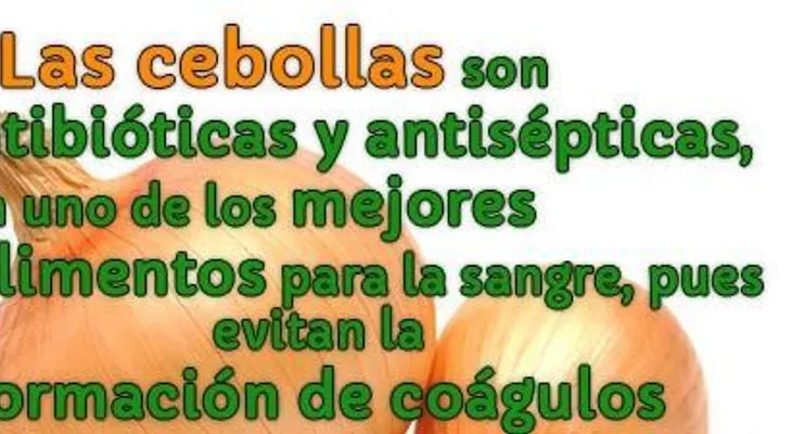 La cebolla y sus grandes propiedades para la SALUD: combate la caspa y caída del cabello, baja el colesterol