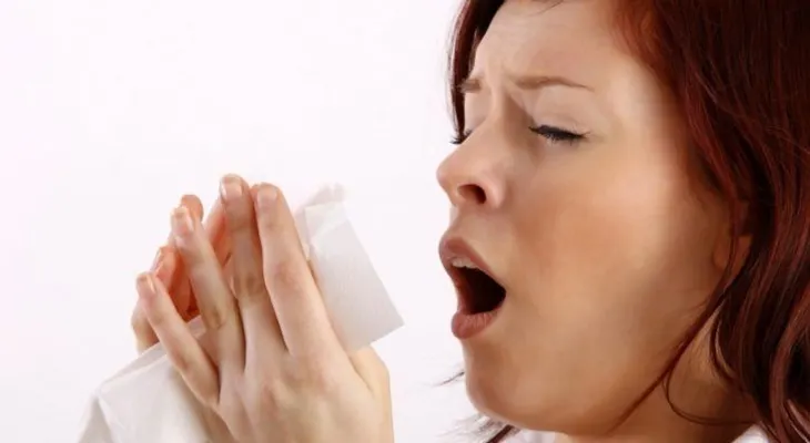 5 pasos para combatir la alergia al polen 