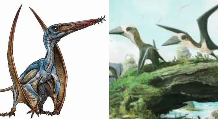 Argentina: Hallan una nueva especie de reptil volador en la Patagonia
