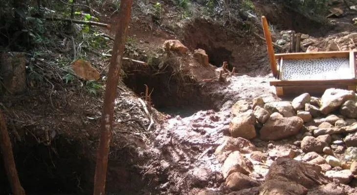 Por arte de "Magia" aparecieron en Higüey haitianos autores de campaña TNT