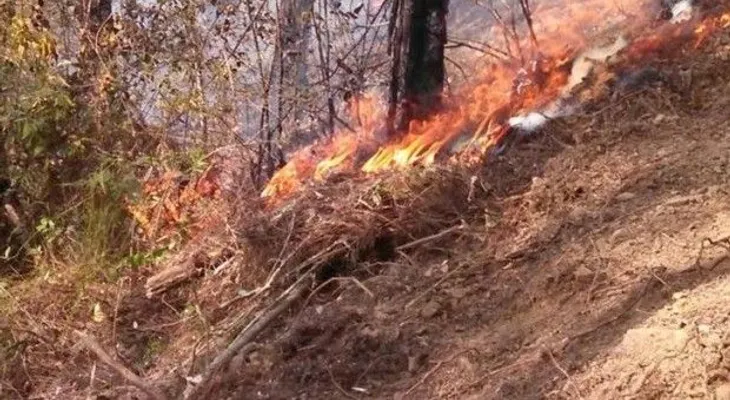 100 militares y brigadistas atrapados en incendio forestal en Dajabón