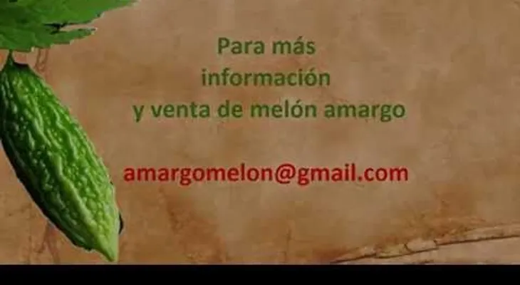 Con esta sola planta puedes eliminar la DIABETES?! (VIDEO)
