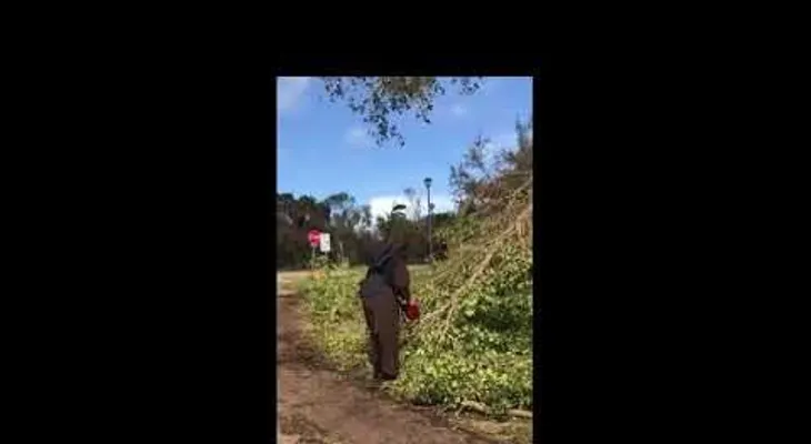 Una monja trabajando con una motosierra se hace viral 