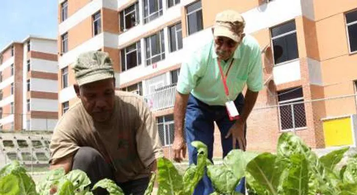 Instalarán Unidades de Planificación y Desarrollo en instituciones públicas