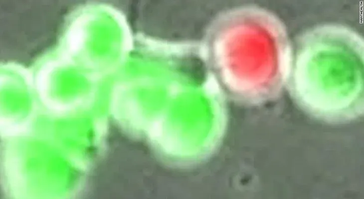 Gran avance en investigación sobre el cáncer podría generar nuevos tratamientos