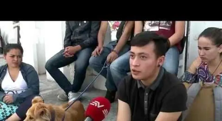 Conozca al perro que se ha ganado el aprecio de toda una facultad