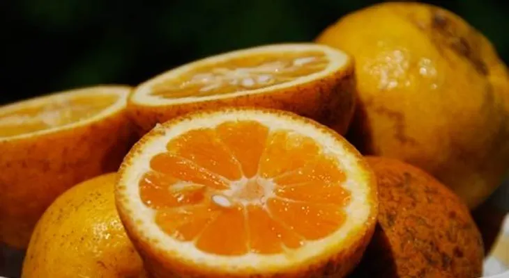 Beneficios para la salud de la naranja agria