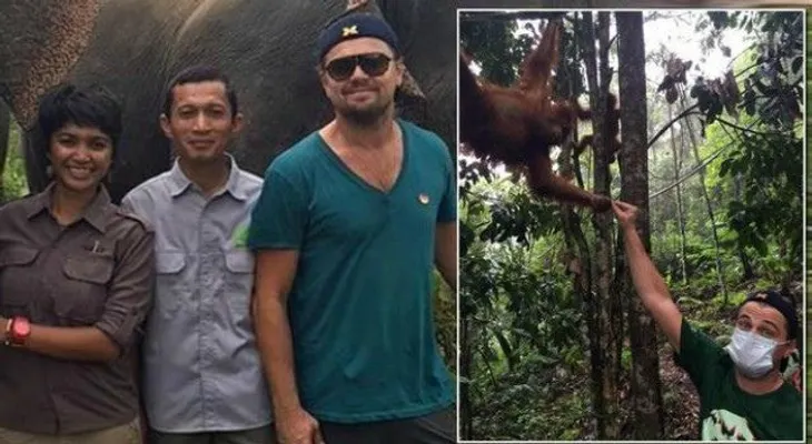 Leonardo DiCaprio dona más de 15 millones de dólares para conservación del medio ambiente