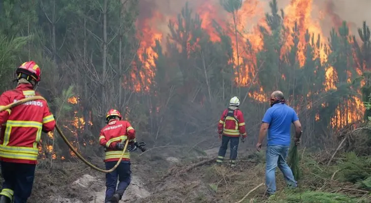 Suben a 37 los muertos y 71 los heridos en incendios de Portugal, ya extintos