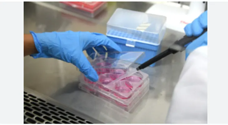 Detectan bacteria "superresistente" preocupante