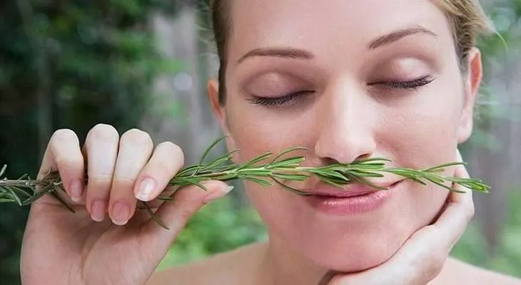 Inhalar esta planta puede aumentar memoria en un 75%
