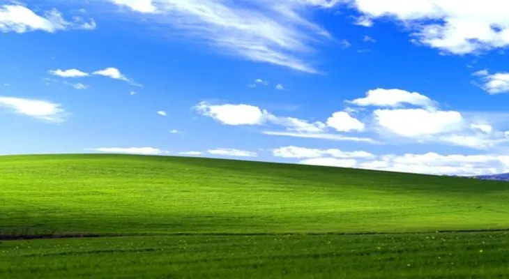 Video: La historia que se esconde detrás del fondo de pantalla de Windows XP  