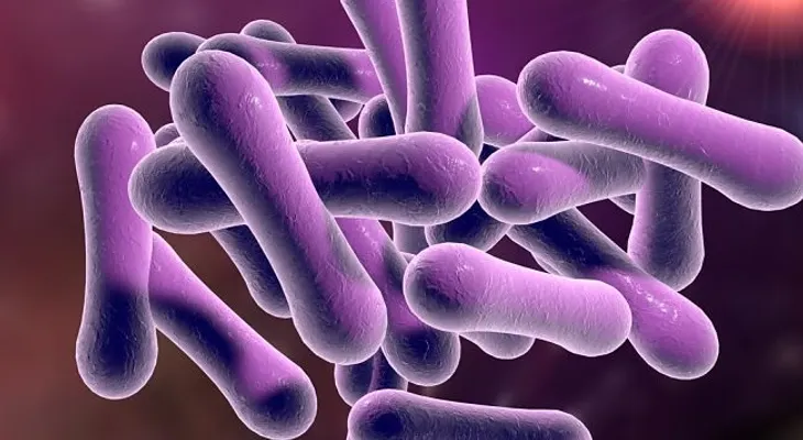 Difteria, cuáles son sus síntomas y como tratarlo naturalmente