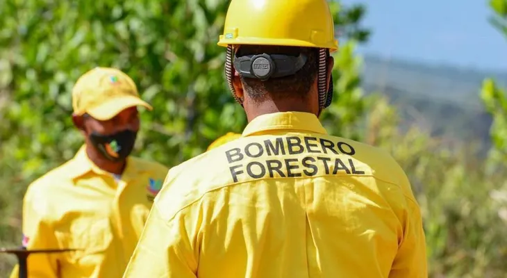 Medio Ambiente mantiene bajo control incendio forestal en Sierra de Bahoruco