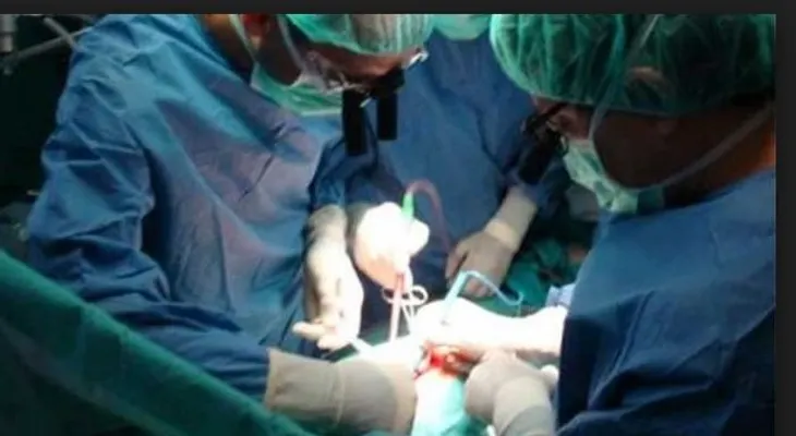 Doctores polacos realizan trasplante de garganta 
