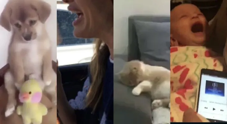 Los 5 mejores videos virales de la semana
