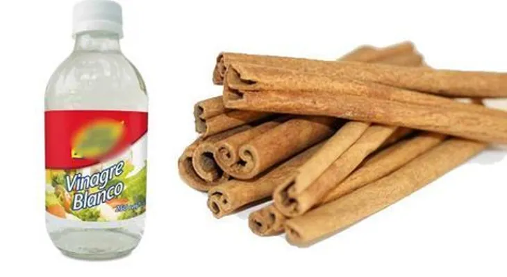 Elimina las malas energías con canela y vinagre
