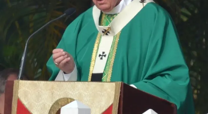 Papa Francisco: Quien no vive para servir, no sirve para vivir