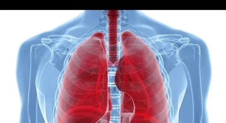Cómo limpiar tus pulmones en 72 horas