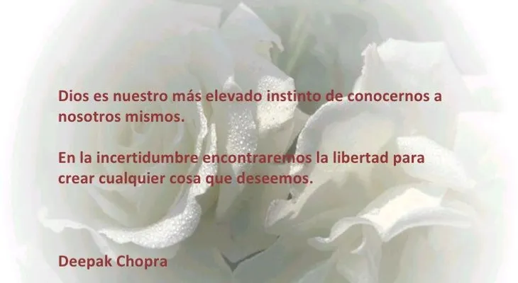 Rosas para el alma: ¡Primero Dios!