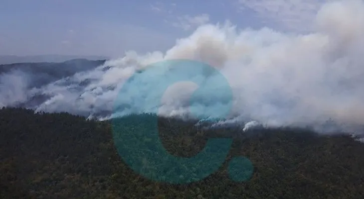 Medio Ambiente dice Rogelio Cruz entorpece labores