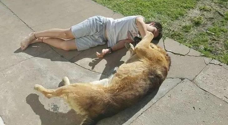 La historia detrás del conmovedor video del reencuentro de Rocco con su perro