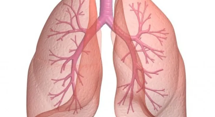 Científicos europeos crean chaleco para controlar pulmones con EPOC