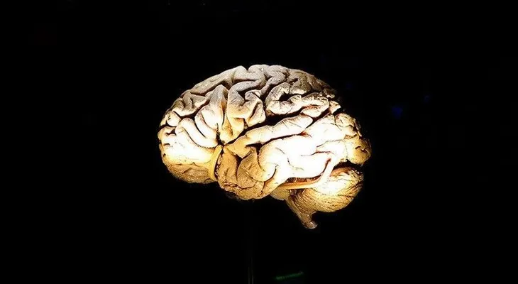 Identifican qué origina el mal de Alzheimer
