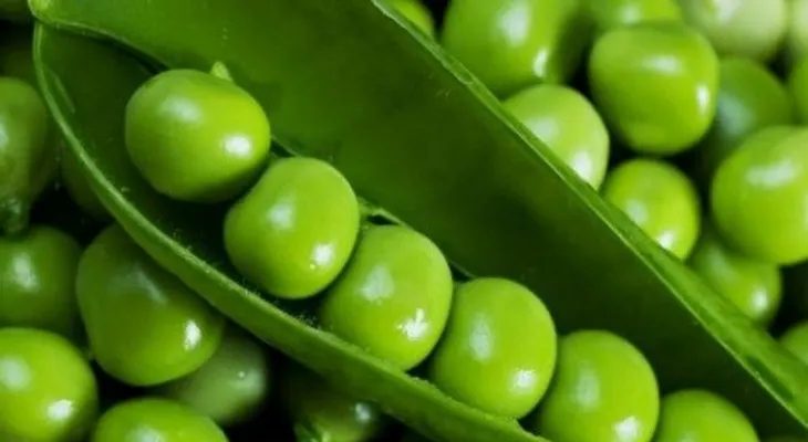 Guisantes: La pequeña gran legumbre contra el cáncer