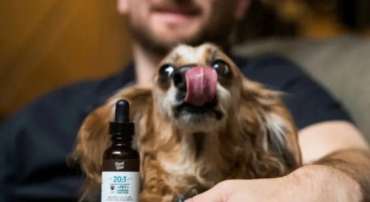El mercado del cannabis ahora también es para mascotas