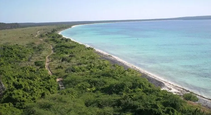 Declaran nulos deslindes de parcelas localizadas en Parque Nacional Jaragua