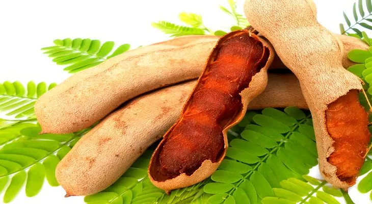 El consumo de tamarindo te hace perder peso, alivia la resata, mejora tu cabello y uñas
