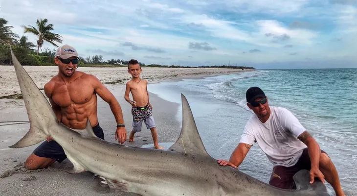 La foto de un inmenso tiburón martillo se volvió viral, pero no por lo que todos creen