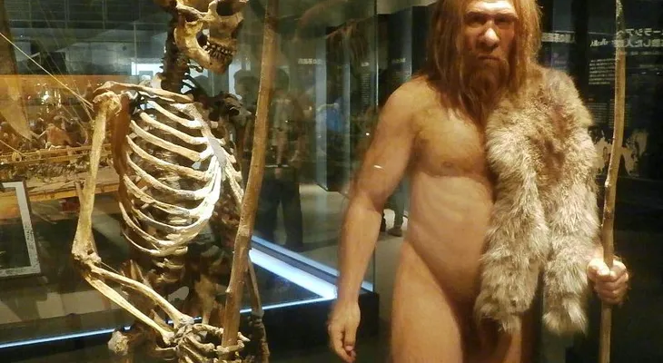 ¿Tienes genes de neandertal? Descubre a qué linaje prehistórico perteneces