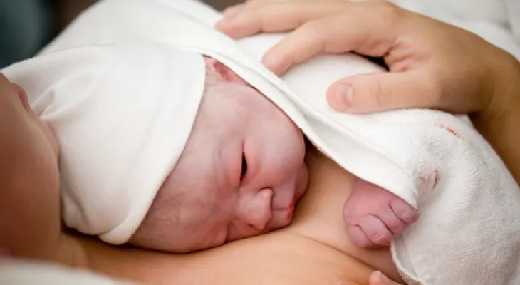 Qué efectos generan las drogas en los bebés?: El corazón, cerebro y el riñón, órganos más afectados