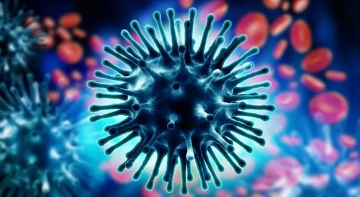 Descubren dos nuevos virus gigantes capaces de ensamblar proteínas