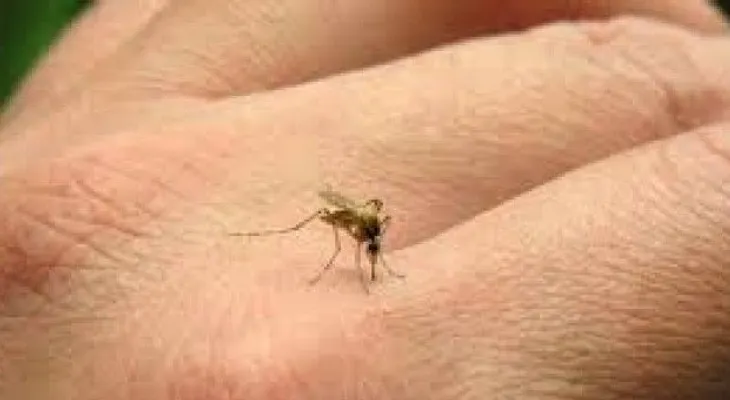 Puerto Rico confirma 201 casos de zika
